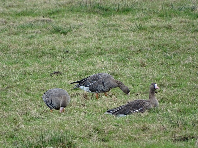 这一历史数 这一历史数