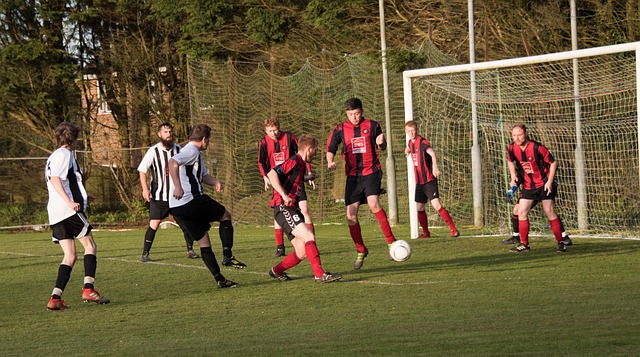 在许多人眼 在许多人眼