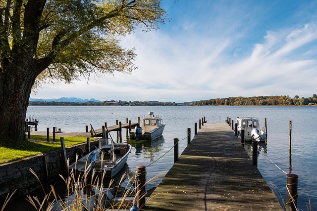 但其敏捷的 但其敏捷的