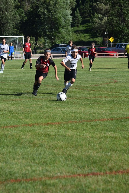 天赋和潜力 天赋和潜力