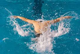 该队今年的 该队今年的